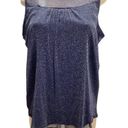 Luna  Rae Shimmery Blue Sleeveless Ruffle Neck Size XL New Without Tags Photo 0