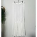 Free People NEW  Godet Girl Mesh Slip Maxi Skirt Stretch Sheer Winter White Sz Lg Photo 2