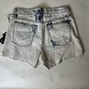 Hudson Jean Shorts Photo 6