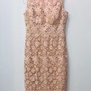 Bisou Bisou  Blush Pink Lace dress sz 8 Photo 0