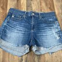 AG Adriano Goldschmied  Hailey Roll Up Ex Boyfriend Denim Short Size 26 Photo 0