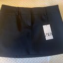 ZARA Super Cute Mini Skirt Photo 0