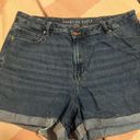 American Eagle Outfitters Shorts Photo 0