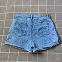 American Eagle  High Rise Mom Shorts Photo 6