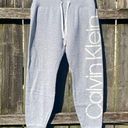 Calvin Klein  Performance Gray Jogger Sweatpants | S Photo 0