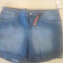 Gloria Vanderbilt Women's 22W Distressed Stretch Shorts  70's esque Photo 1