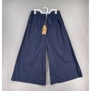 Krass&co Creative  Op Wide Leg Pants Womens XL Blue Patti Pleated Pull On Ankle Casual Photo 0