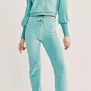 Love Shack Fancy  Aegean Teal Velour Gibbons Track Zip Jacket Photo 5