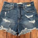 Abercrombie & Fitch NWT  High Rise Short Jean Shorts (Curve Love) - Size 2 (26) Photo 0