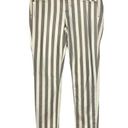 Bebe  Gray & White Pinstripe Skinny Jeans 29 Photo 0