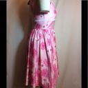 Lilly Pulitzer NWT $358  Pink Annette Dress Sz 4 Photo 3