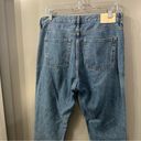 Everlane  Cheeky Jean Crop High Rise Straight Jean Light Wash Size 29 Photo 3