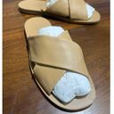 Everlane  The Day Crossover Sandals in Light Taupe 9 New Womens Slides Flats Photo 4