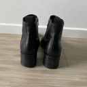 Everlane  Zip up leather ankle booties 8 Photo 1