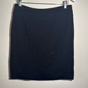 CAbi  Skirt Photo 0