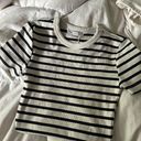 ZARA  striped crop top small Photo 0