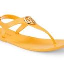 DKNY NWT  Flat T Strap Sandals Photo 0