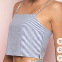 Brandy Melville  Dena Tank Top Striped Blue White Summer Tie Shoulder One Size Photo 0