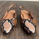 Madewell  The Margot Snake Embossed Slingback Leather  Flats Photo 5