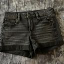 American Eagle Outfitter Shorts Photo 0