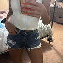 American Eagle Outfitters Shorts Photo 2