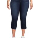 Terra & Sky NWT  Women's Plus Size BOUTIQUE High Rise Skinny Capri Jeans Size: 24W Photo 2