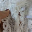 Asilio  The Mind Fall Top White Lace Crop Topper Size 4 Photo 7