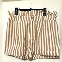 Pink Lily  brown stripe ruffle shorts size XS Photo 1