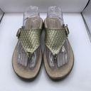 Aerosoles  Women’s Piano Luxury Flip Flops Metallic Gold buckle Size 9.5 E10 Photo 1