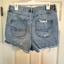 American Eagle Denim Shorts Photo 1