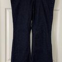 Lane Bryant  Women's Flare Genius Fit Jeans Dark Wash Size 14 Photo 0