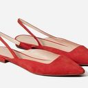 Everlane  The Editor Slingback Suede Flats in Persimmon Photo 0