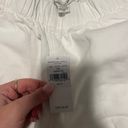 American Eagle NWT  Beach Pants Photo 1