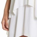 Alice + Olivia New  Delilah Stretch Silk Slip Dress Photo 3