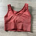 Pro-Fit  Seamless Womens Burnt Orange Sports Bra Size Small Photo 1