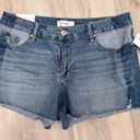 Jessica Simpson NWT  Jean Shorts size 31 Photo 0