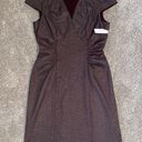 Dress Barn NWT  Brown Professional Dress Photo 0