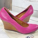 Lanvin Paris Lanvin Pink Leather Round-Toe Wedges Photo 0