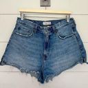 Abercrombie & Fitch Women’s 32 Blue Denim Mom Short High Rise Curve Love Photo 0