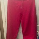 Style & Co  sport slacks large Photo 0