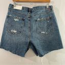 American Eagle  Highest Rise Baggy Short Size 14 NWT Photo 1