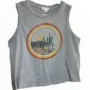 Full Tilt  crop top desert crop top cactus crop top dusty gray size medium Photo 0