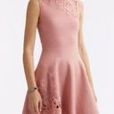 Oscar de la Renta NWT  Guipure lace-trimmed stretch-knit dress Size M Photo 4