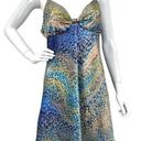 Oscar de la Renta  Blue Ombre Leopard Slip Nightie Sexy Vintage Size M Photo 0