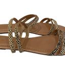 J.Crew  Women’s SEASIDE Strappy Slide Sandals Leopard calf hair Suede size 9 NWOT Photo 1