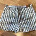 American Eagle Stripped Mom Short Photo 1