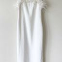 Elliatt  Harley Dress in Ivory with Feathers Size Small Photo 4