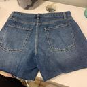 No Bo New Shorts Photo 3