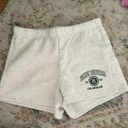 PacSun light grey and green  sweat shorts Photo 0