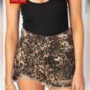 Buddy Love Cheetah Denim Shorts Photo 5